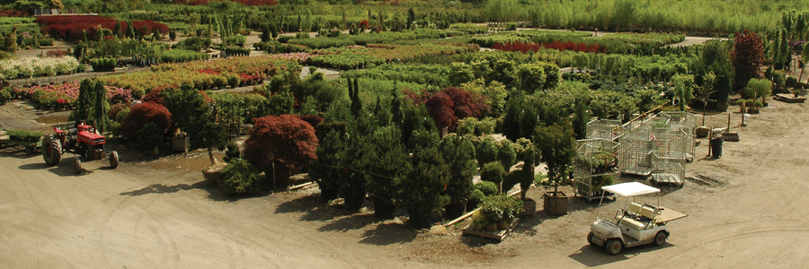 2005 Lincoln Road Nursery