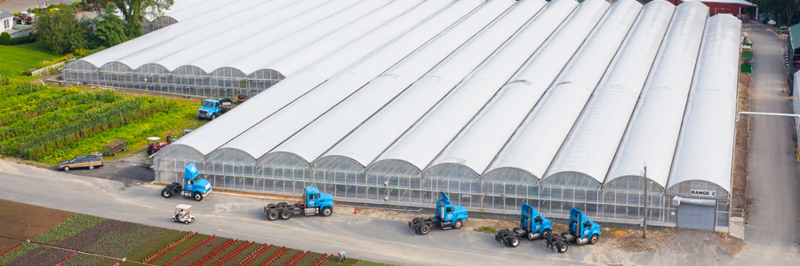 2015 Ranges, shipping and receiving. 200+ acres, ten acres of greenhouse space and a fleet of sixteen tractor trailers.